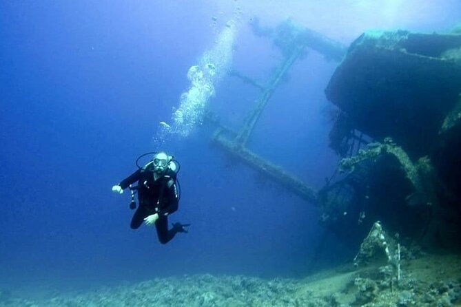 Aqaba Private Scuba Diving Activity with Pick Up - Price and Value: About $56.58 for a Private Underwater Session