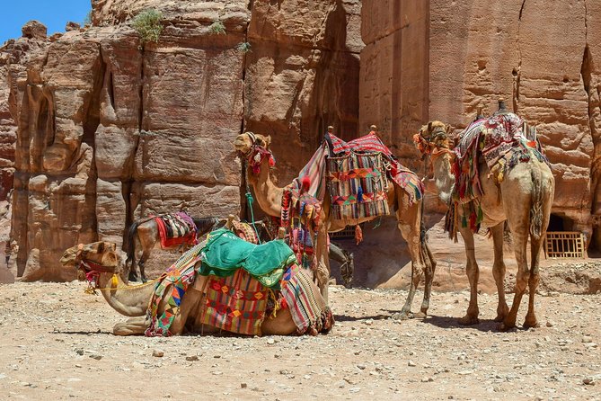 Aqaba Shore Excursion: Private Petra Sightseeing Tour with Lunch - Down the Siq to the Treasury: The Classic Walk, the Big Wow Factor