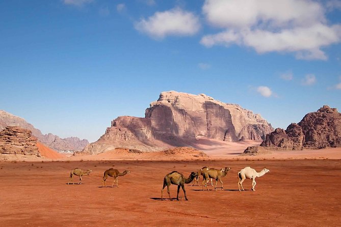 Best of Jordan Tour Amman Petra and Dead Sea with Camping at Wadi Rum - Wadi Rum camping: Valley of the Moon, pink sand, big skies
