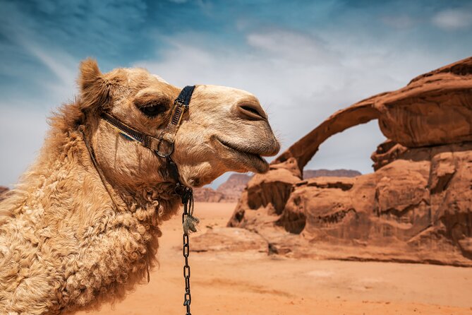 Best of Wadi Rum | Full day Jeep tour + Sleep under the stars | Pack all-in - Meals Included All Day, So Your Focus Stays on Wadi Rum