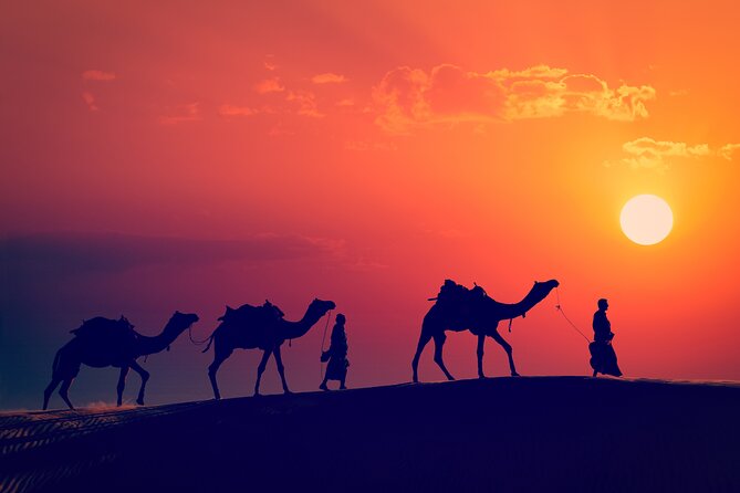 Best of Wadi Rum | Full day Jeep tour + Sleep under the stars | Pack all-in - Who This Tour Fits Best (And Who Might Want a Different Option)