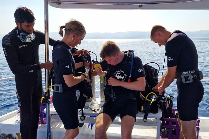 Boat Dive 2 Guided Dives with Lunch Included wreck dive&reef dive - Key Highlights You Should Know