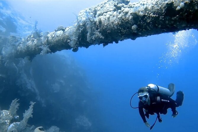 Boat Dive 2 Guided Dives with Lunch Included wreck dive&reef dive - Aqaba’s Gulf: Why This Mix Works So Well