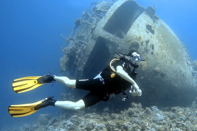 Boat Dive 2 Guided Dives with Lunch Included wreck dive&reef dive - Who This Aqaba Boat Program Fits Best