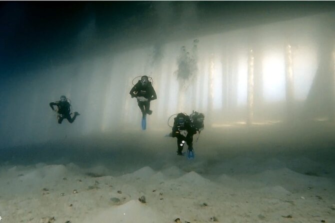 Boat Dive 2 Guided Dives with Lunch Included wreck dive&reef dive - Your Two Underwater Sessions: How the Day Is Structured
