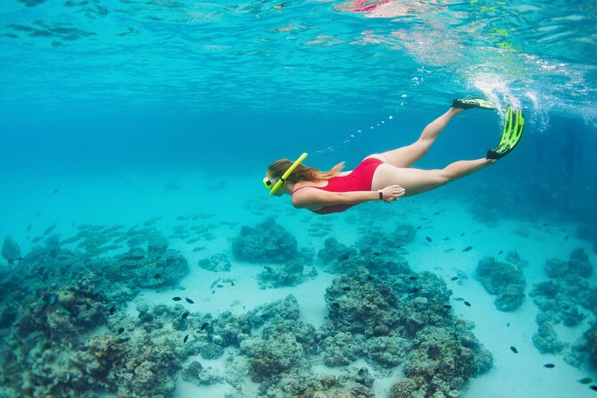 Boat Dive and Snorkeling Experience in Aqaba - Lunch onboard: grilled buffet food that actually hits the spot