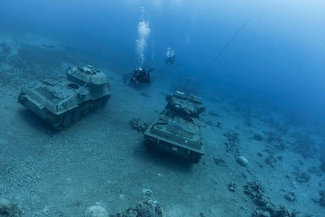 Boat Dive and Snorkeling Experience in Aqaba - Equipment included: fewer moving parts, less stress