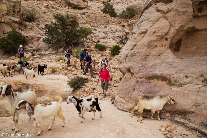 Dana to Petra Trek + Wadi Rum & the Dead Sea - 9 Days - Key points worth packing for