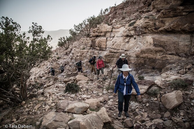 Dana to Petra Trek + Wadi Rum & the Dead Sea - 9 Days - Amman Day 1: easy landing and a first taste of Jordan