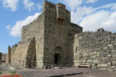 Day Tour Desert Castles & Azraq Wetland Reserve