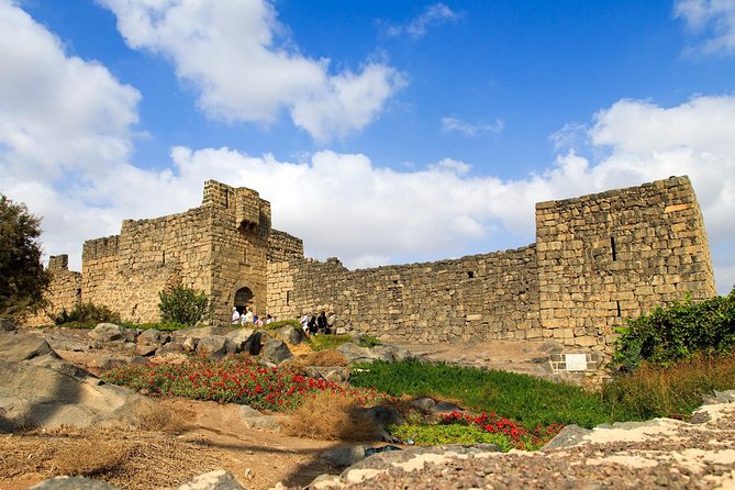 Day Tour Desert Castles & Azraq Wetland Reserve - Who This Tour Fits Best