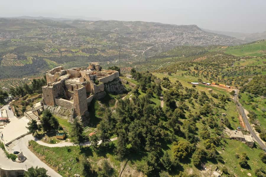 Day Tour Jerash - Ajloun and Um Qais From Amman - Key highlights you will care about