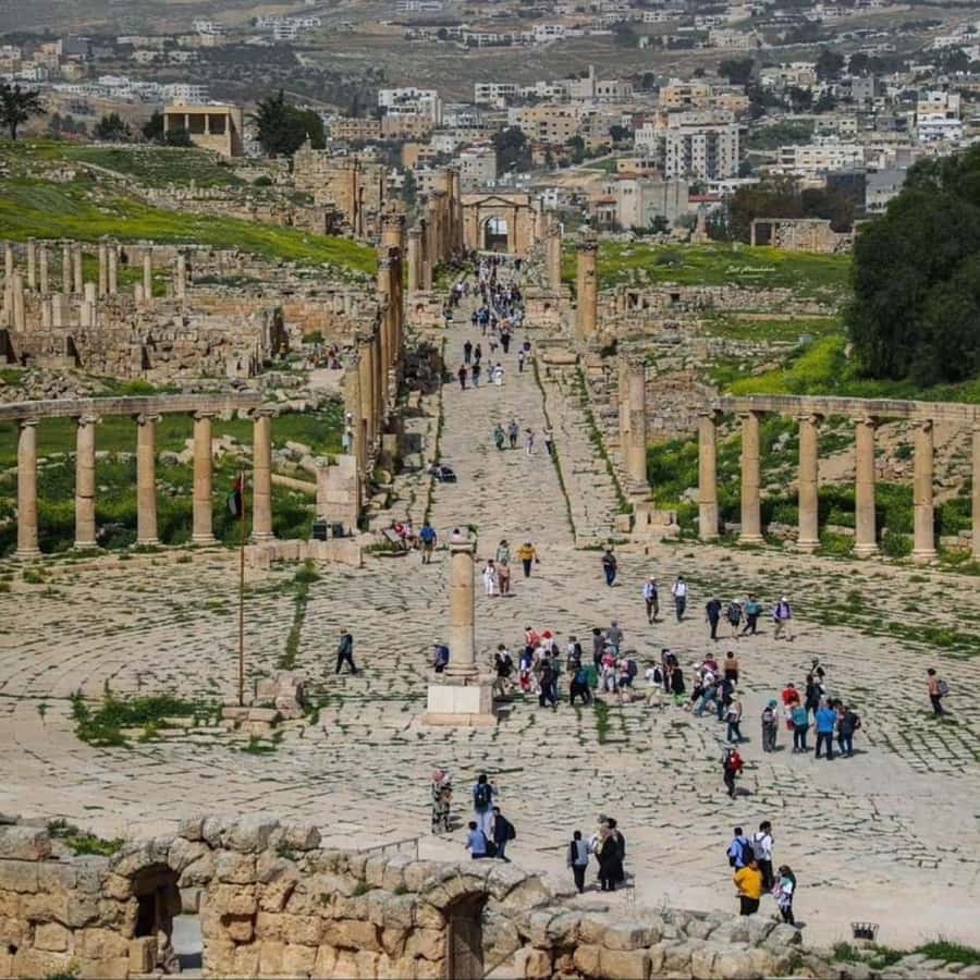 Day Tour Jerash - Ajloun and Um Qais From Amman - Hotel Pickup, Wi-Fi, and Getting Around Northern Jordan