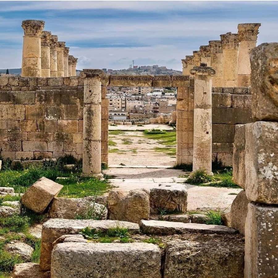 Day Tour Jerash - Ajloun and Um Qais From Amman - Ajloun Castle: Saladin’s Fortress and the Forest Views