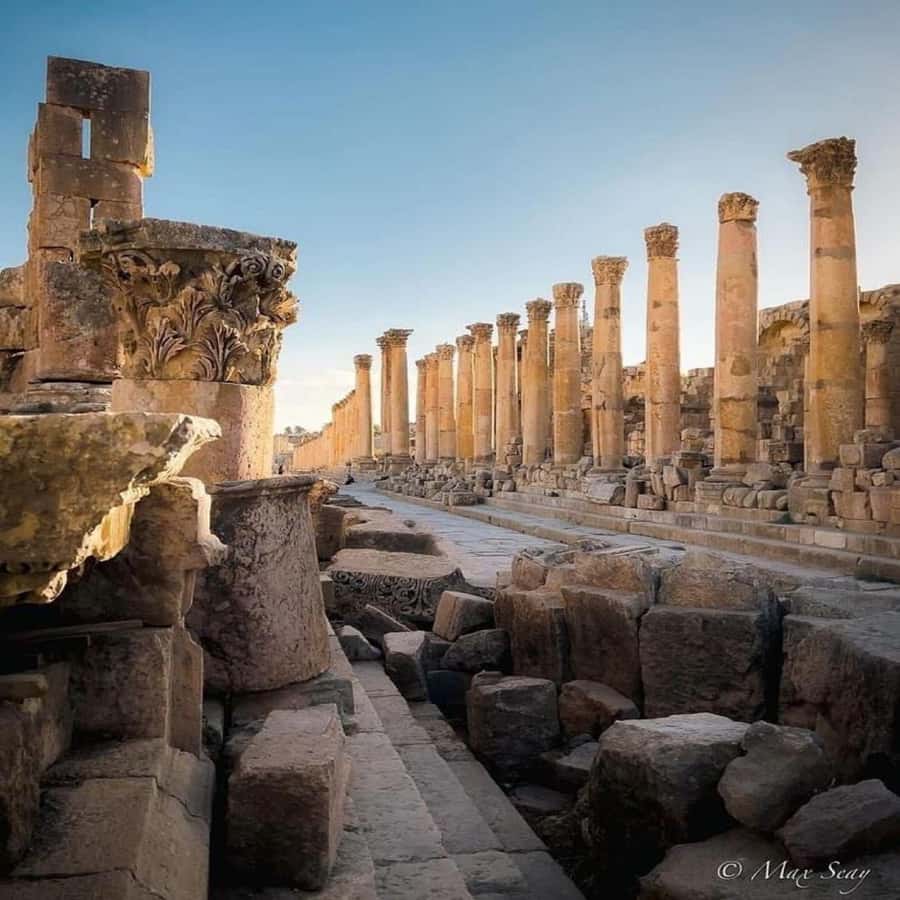 Day Tour Jerash - Ajloun and Um Qais From Amman - Drivers, Communication, and the Small Extras That Matter