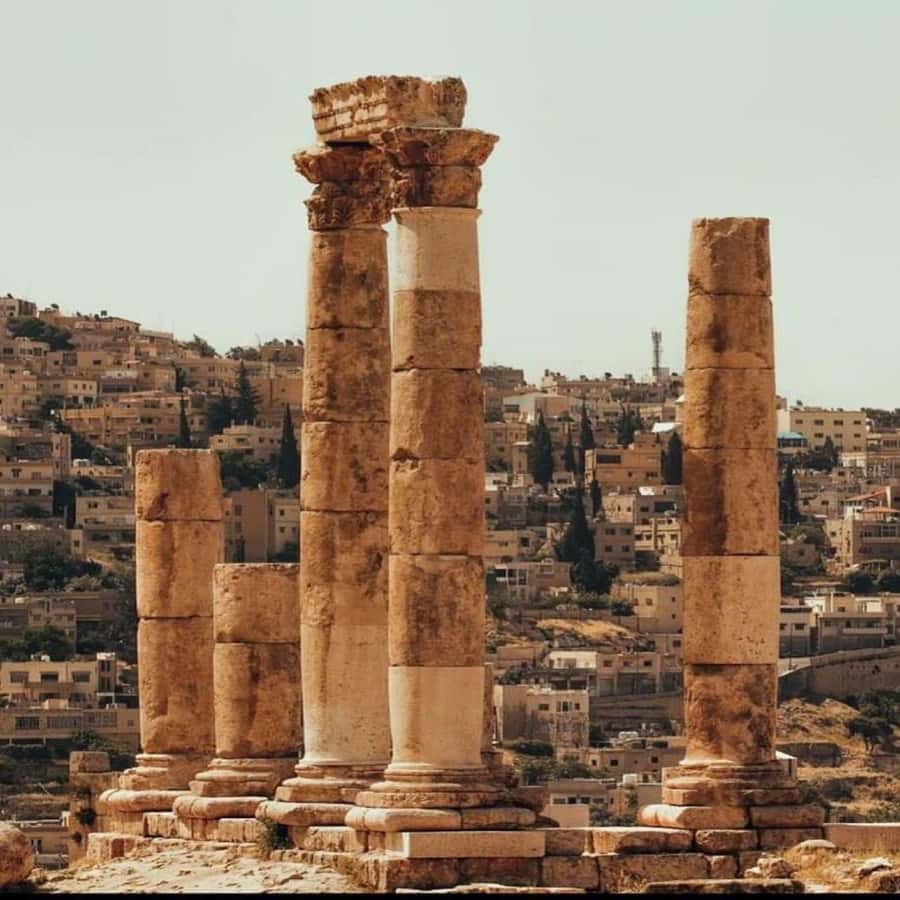 Day Tour Jerash and Amman City Tour From Amman - How Transportation and an English-Speaking Driver Help