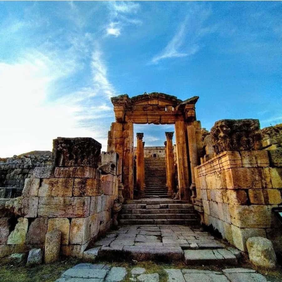 Day Tour Jerash and Amman City Tour From Amman - Who This Tour Fits Best