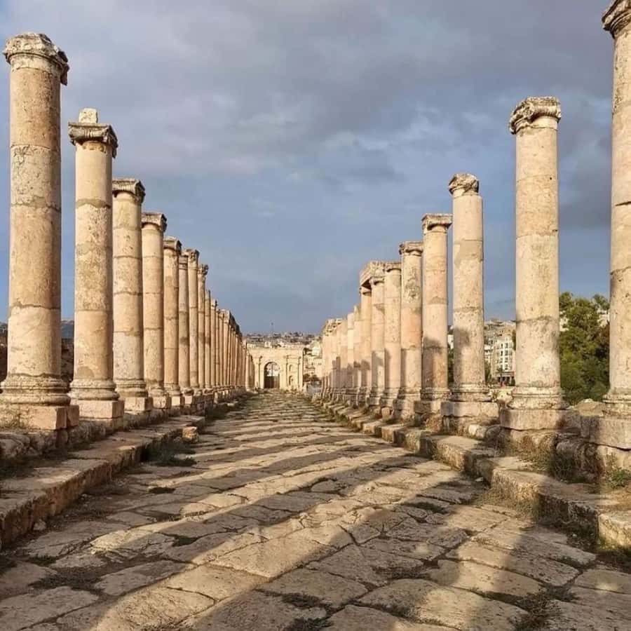Day Tour Jerash and Amman City Tour From Amman - Should You Book This Jerash and Amman City Tour?