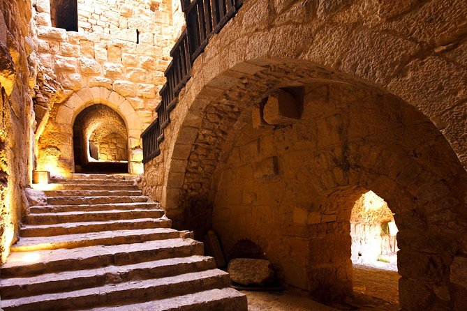 Day tour to Jerash and Ajloun Castle - The Drive Between Stops: Jordan Valley, Jordan River, and Olive Trees