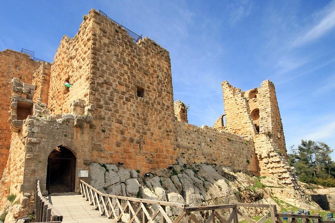 Day tour to Jerash and Ajloun Castle - Jerash Ruins: Oval Plaza, Colonnaded Street, Theaters, and Temples