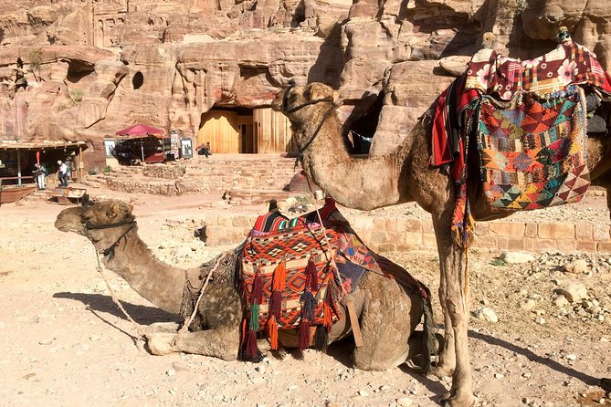 Day Tour to Petra from Aqaba - Key highlights to know before you go