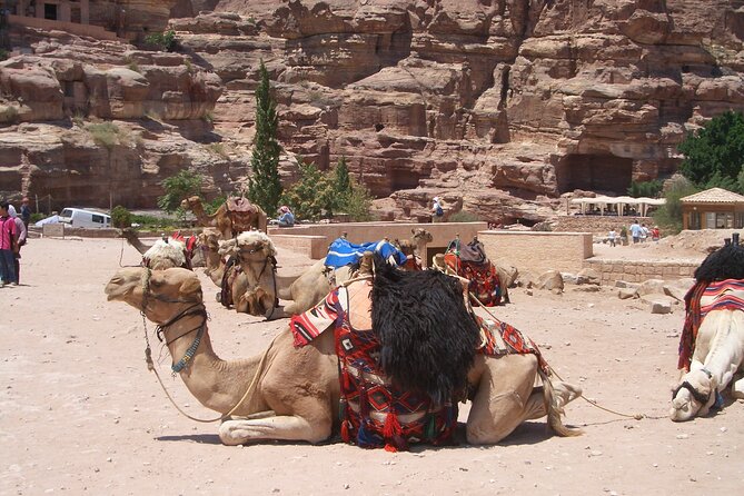 Day Tour to Petra from Dead Sea with lunch - Private A/C transport and the driver experience