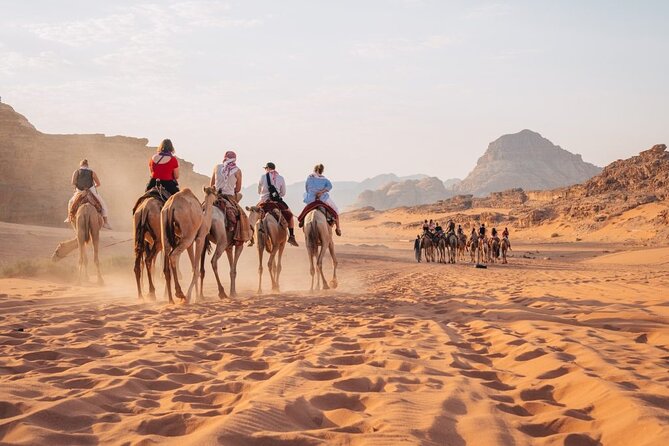 Day Trip to Petra, Wadi Rum, and Shobak Castle - Entering Petra via the visitor center, ticket help, and how the day stays organized