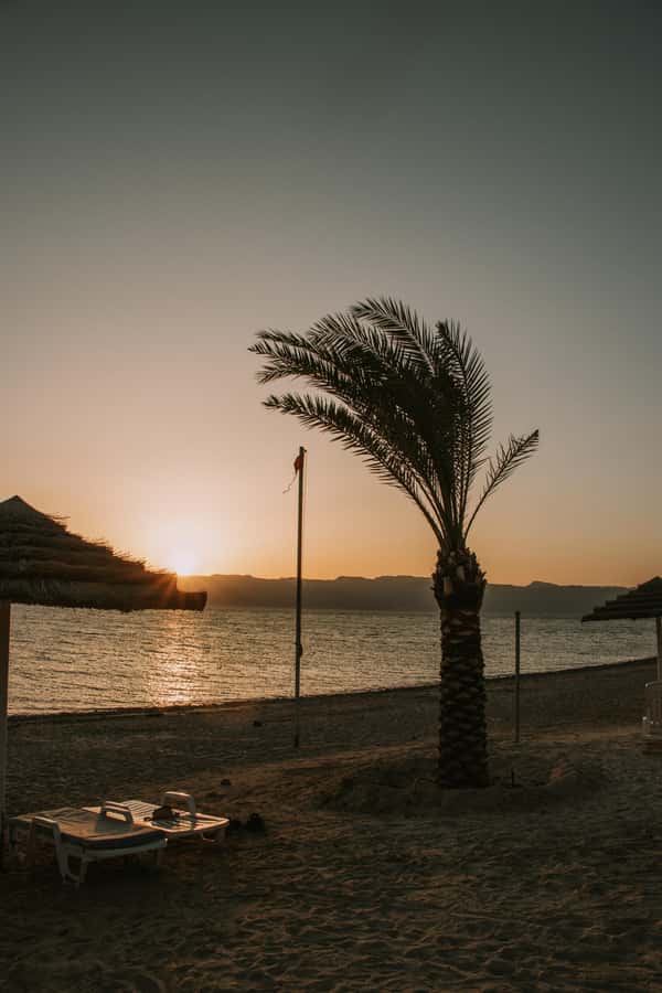 Discover Aqaba in Style: A 3-h City Tour by Car with meal - Price and Value: Is $36 a Smart Deal?