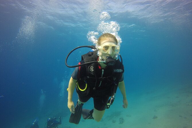 Discover the Depths: Aqaba's Ultimate private Dive Experience - Key highlights for your Aqaba South Beach scuba session