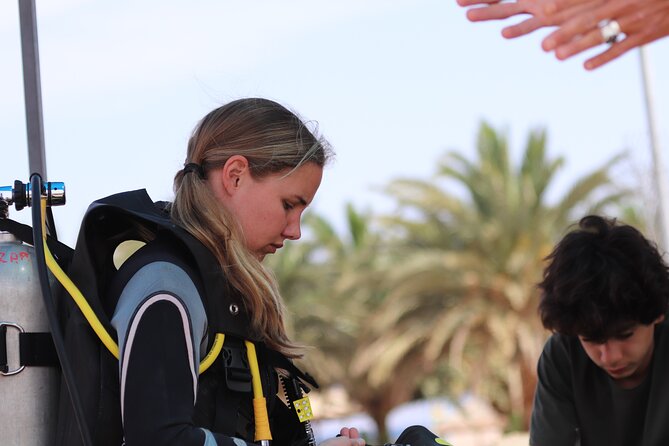 Discover the Depths: Aqaba's Ultimate private Dive Experience - South Beach logistics that make a private scuba lesson feel easy