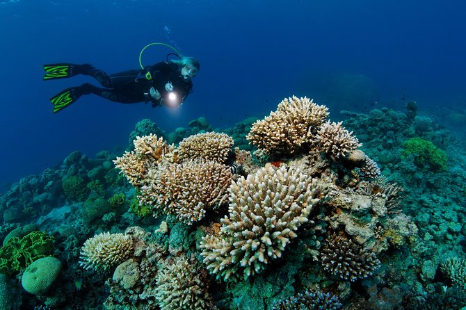 DSD "Discover Scuba Diving" (Min Age 10 Years) - Key things you’ll notice right away