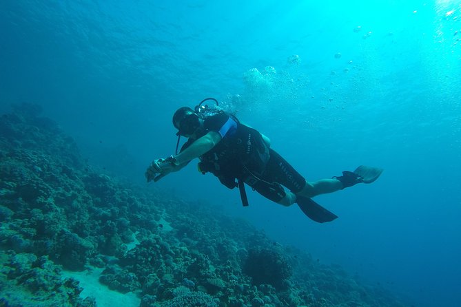 DSD "Discover Scuba Diving" (Min Age 10 Years) - Lunch and hot drinks: why the food part matters on water days
