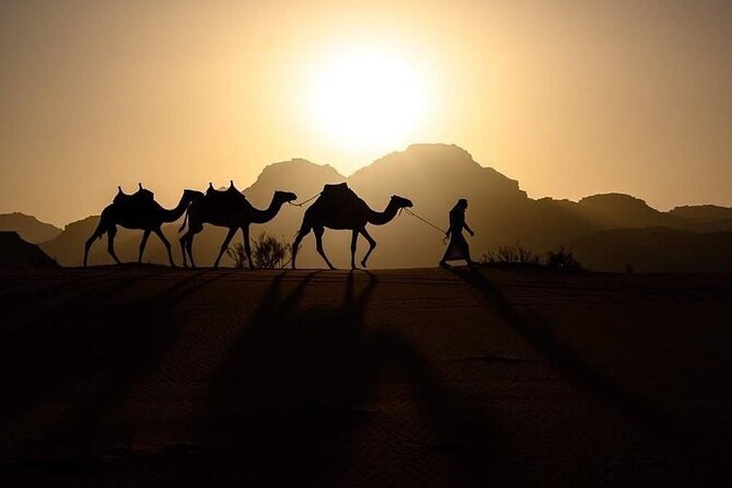 Elite Transfers : Queen Alia Airport to Any Destination in Jordan - The real value of a Queen Alia private transfer