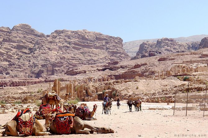 Experience Petra & Wadi Rum in One Day From Amman - The $375 price tag: what you are really paying for