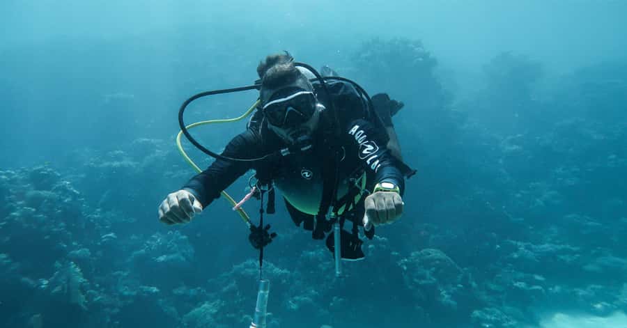 Explore Aqaba's Depths: Scuba Diving Tour, with Hotel Pickup - Key things that make this Aqaba scuba session work