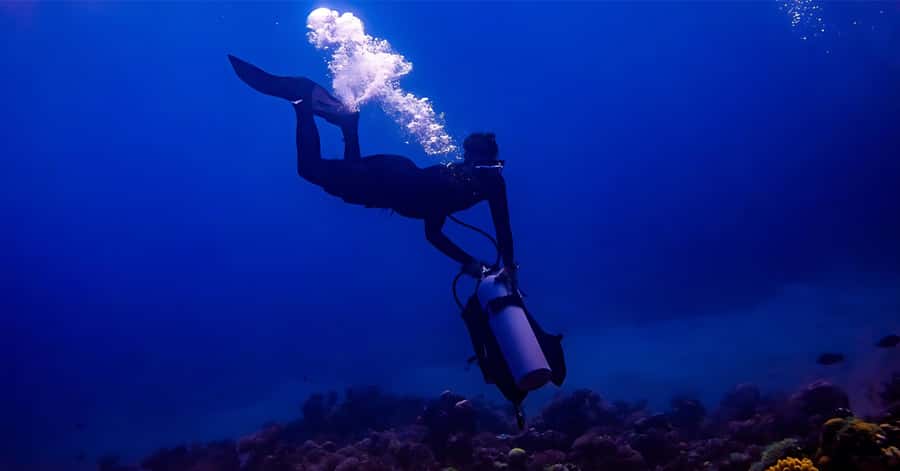 Explore Aqaba's Depths: Scuba Diving Tour, with Hotel Pickup - South Beach briefing and class, what you’ll actually do