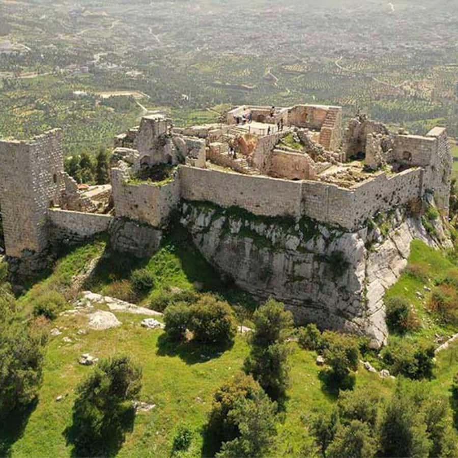 Explore Northern Jordan:Amman to Jerash, Ajloun,and Umm Qais - Small group size, modern car, and why the driver matters