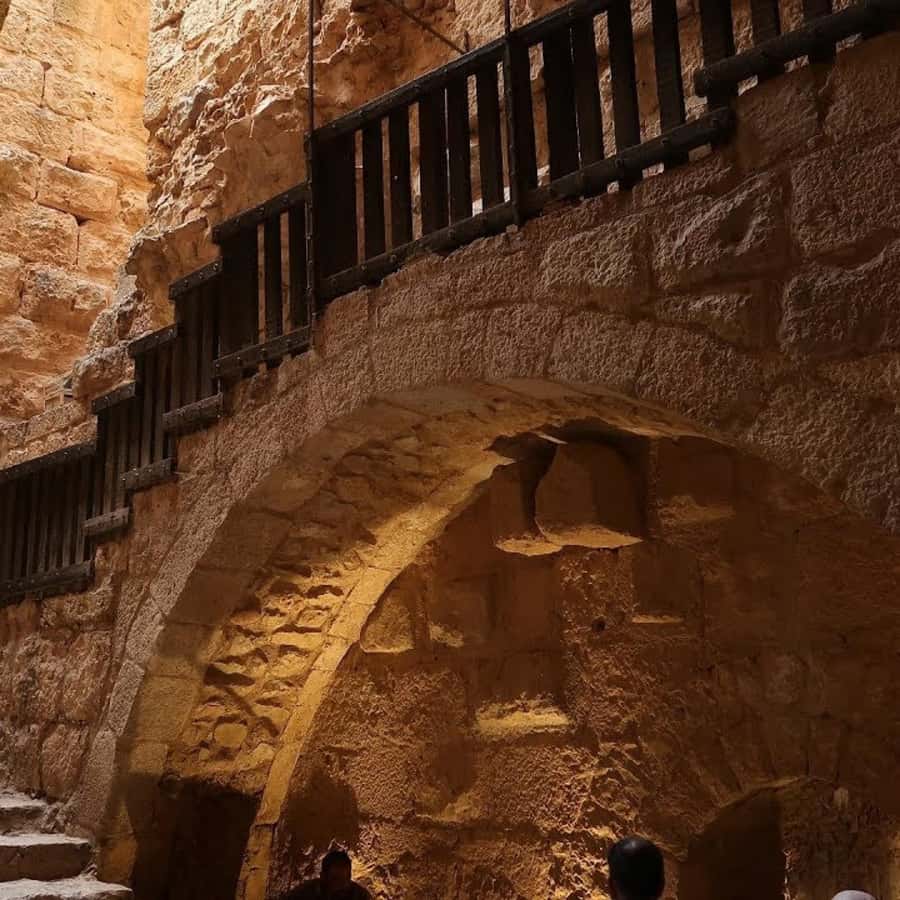Explore Northern Jordan:Amman to Jerash, Ajloun,and Umm Qais - What you actually get for the $102 value