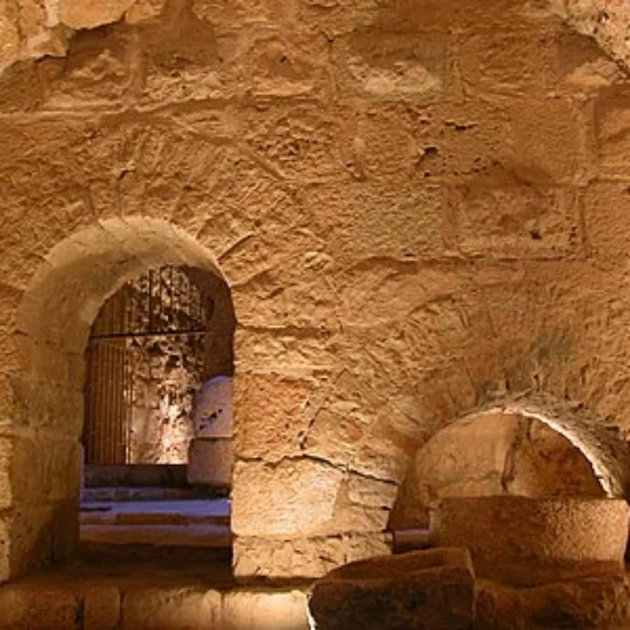 Explore Northern Jordan:Amman to Jerash, Ajloun,and Umm Qais - Should you book this Northern Jordan tour?