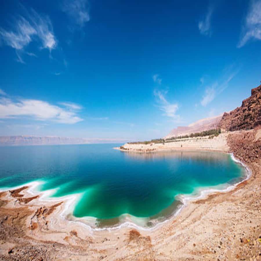 Explore the Dead Sea on a Half-Day Tour From Amman - Hotel pickup between 8 and 11 am, and why timing matters