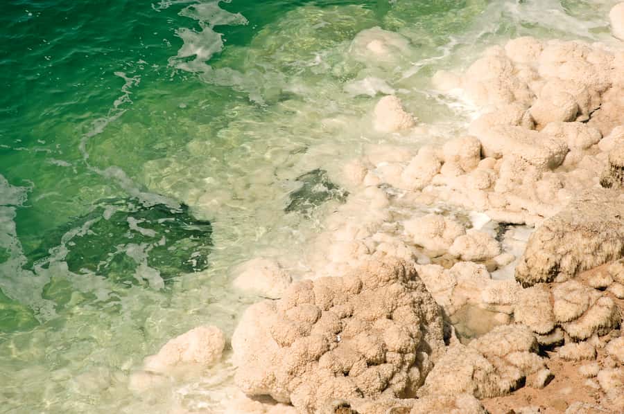 From Amman: 5-Hour Dead Sea Experience with Lunch & Return - How the private transport from Amman keeps the day easy