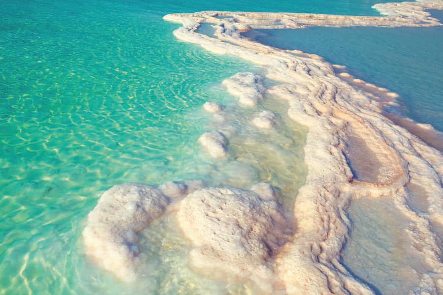 From Amman: 5-Hour Dead Sea Experience with Lunch & Return - Price and value: what $119 gets you, and what to watch