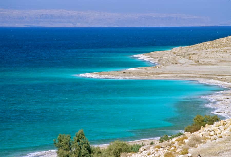 From Amman: 5-Hour Dead Sea Experience with Lunch & Return - Who this tour suits best, and who should skip it