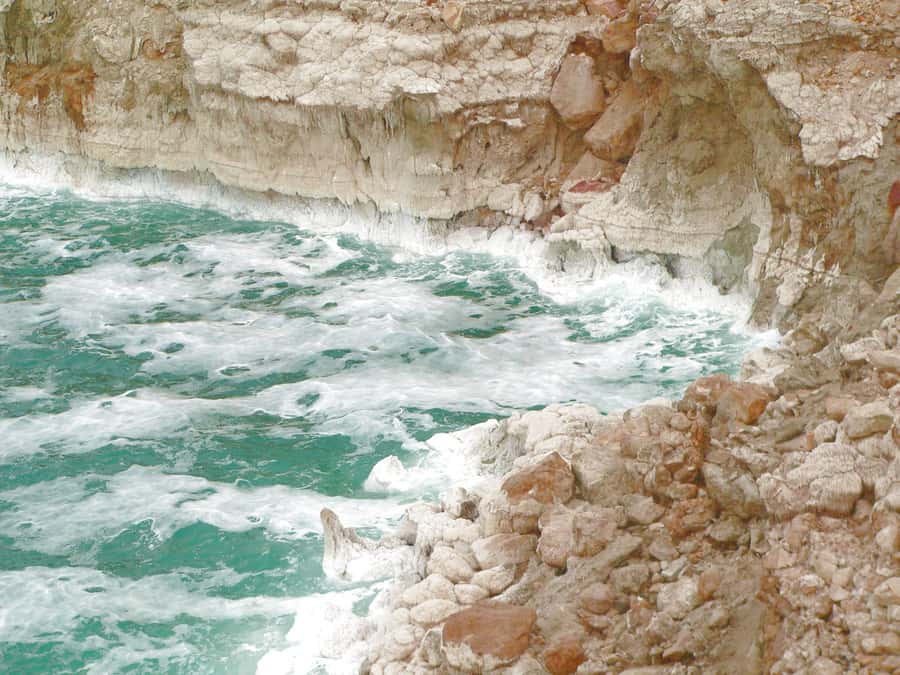 From Amman: 5-Hour Dead Sea Experience with Lunch & Return - The 5-star resort day: pools, beach time, and getting fed