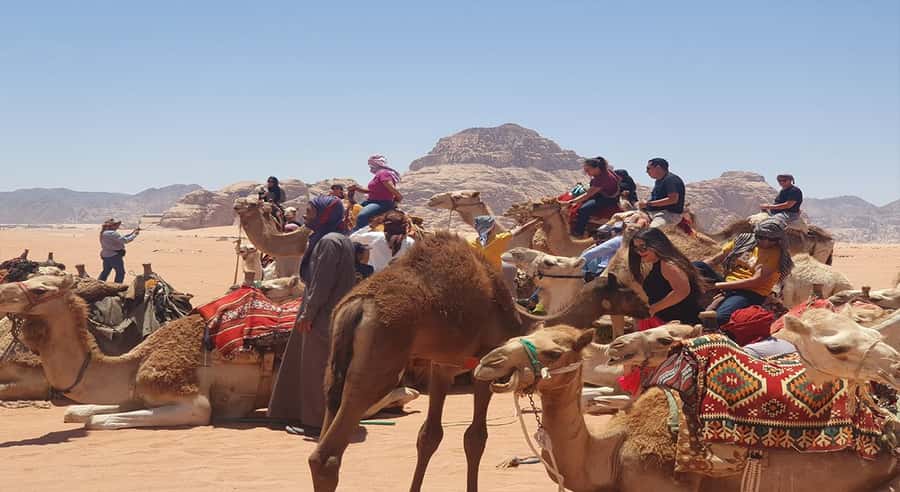 From Amman/Airport: 3-Night Private Jordan Special Tour - The smart shape of this private Jordan route
