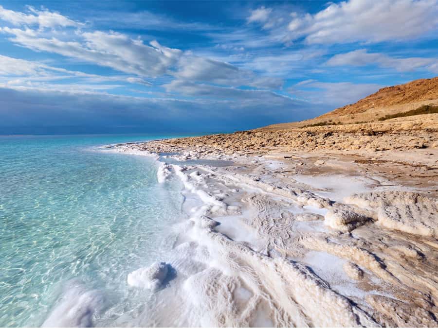From Amman: Dead Sea 5-Star Resort Day Trip with Lunch - Getting to the Dead Sea from Amman, the easy way