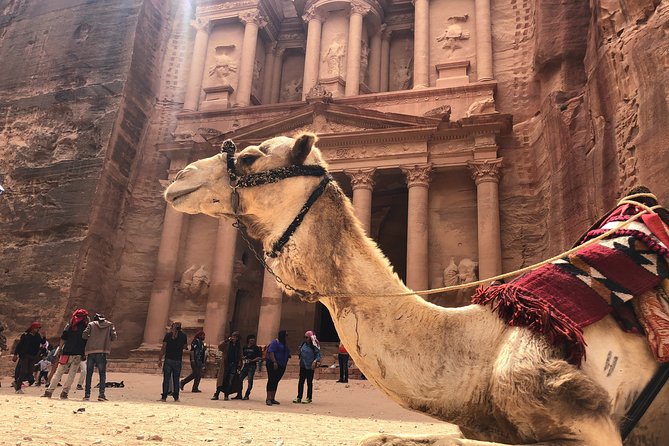 From Amman | Dead sea and Petra in one day | Admission Fees Included - Price and Value: Is $450 per Person Fair Here?