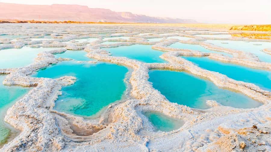 From Amman: Dead Sea and Wadi Mujib Trail Full-Day Tour - Is it good value at $88 per person?