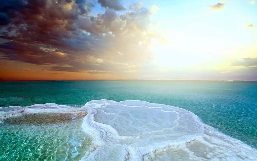 From Amman: Dead Sea, Mt Nebo, Madaba, Baptism full day trip - Price and Value: Is $74 Plus Dead Sea Day-Use Worth It?