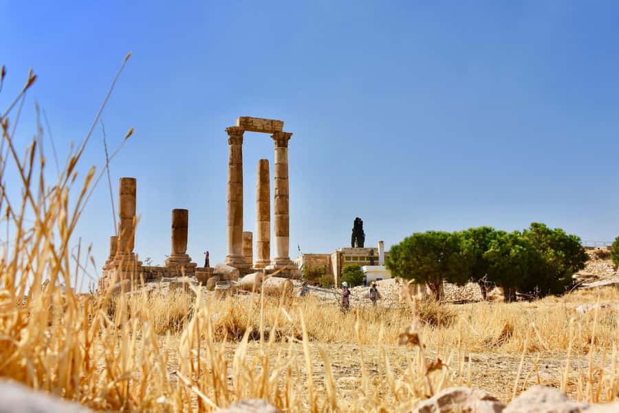 From Amman: Full day Jerash and Amman city Tour - Should You Book This Jerash and Amman City Tour?